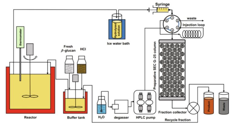 Paper über hochwertige Oligosaccharide aus Biopolymeren